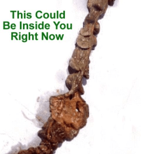 Tarmrening tarmplack "This could be inside you right now"