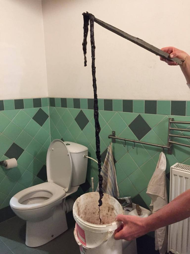 lång svart sträng tarmplack tarmrening