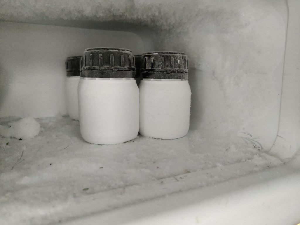 Min frys med 6 stycken djupfrysta vita flaskor från microbioma.org. Innehåller 150 ml lösning med fekalt material.