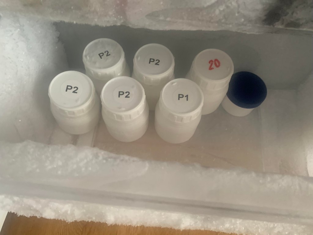 Rick Ursbergs FMT piller stash för fekal transplantation.