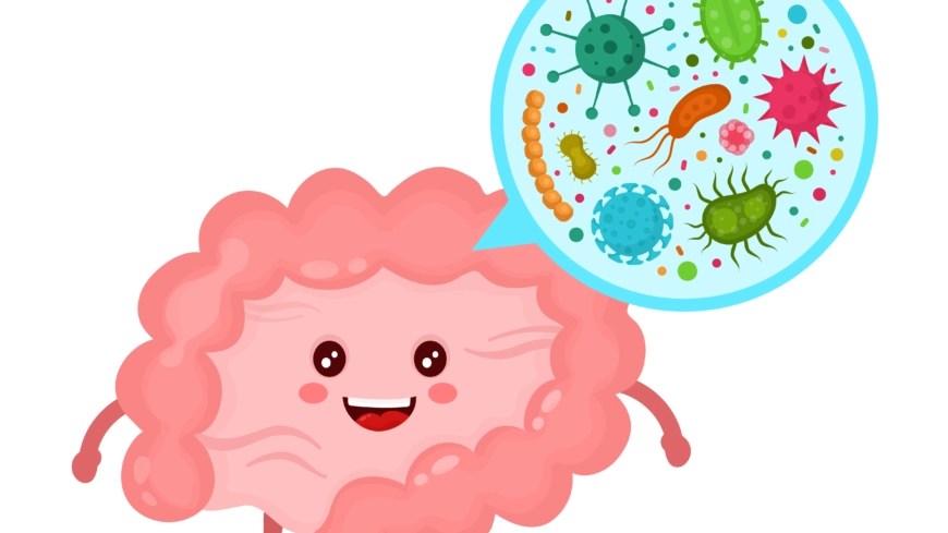 Bakterierflora. Liten figur som är en bakterie.