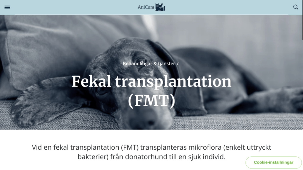 FMT för hundar. Fekal transplantation.