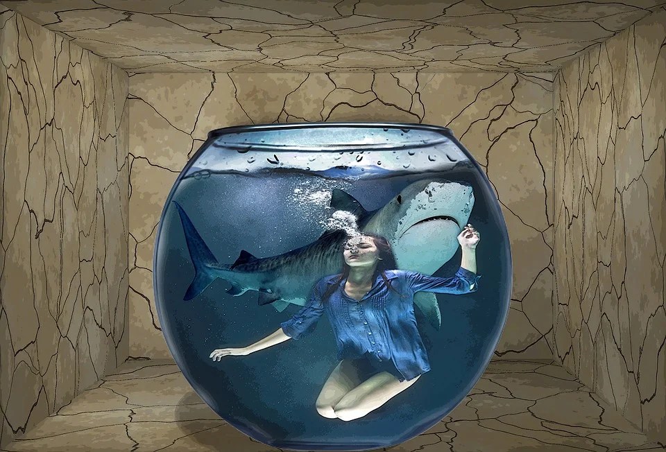 Snygg tjej drunknar med en haj i skålen. Som en mardröm.