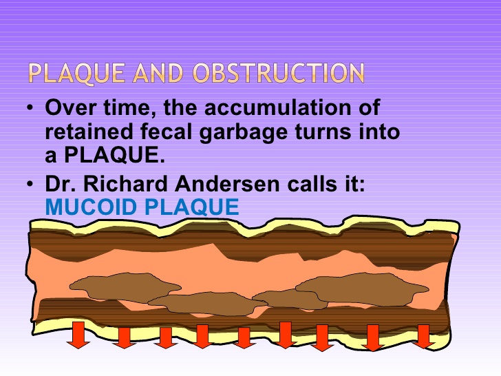 Ospjälkad mat samlas i tarmana och stelnar till tarmplack.