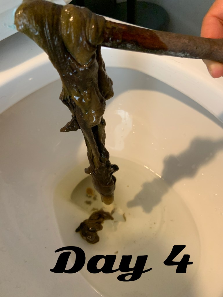 Tarmplack bild dag 4.