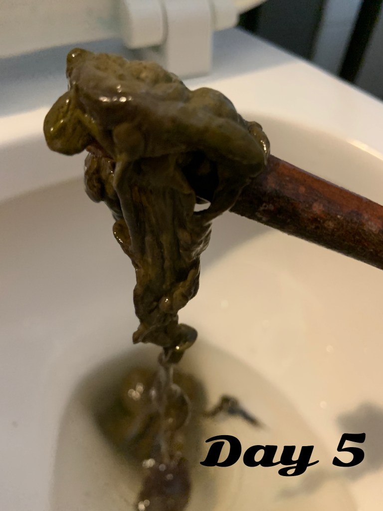 Tarmplack bild dag 5.