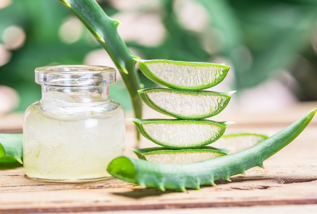 Aloe Vera blad samt gel i en burk