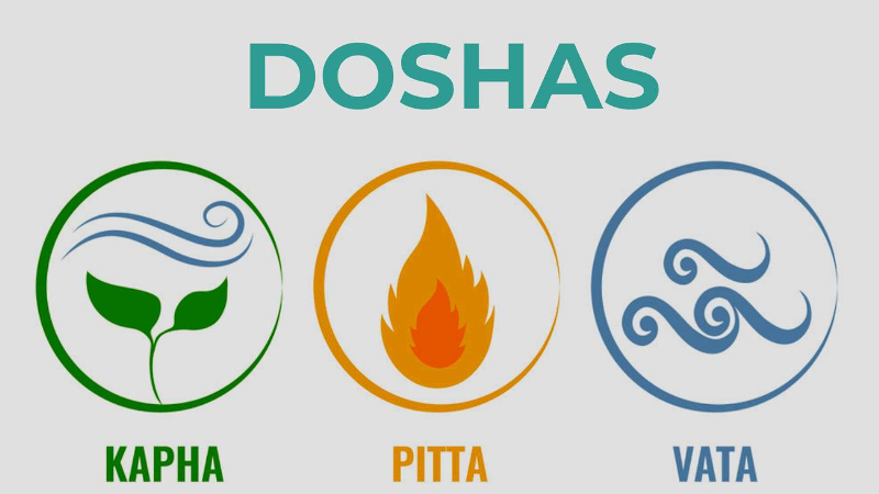 Doshas. Kapha. Pitta. Vata.