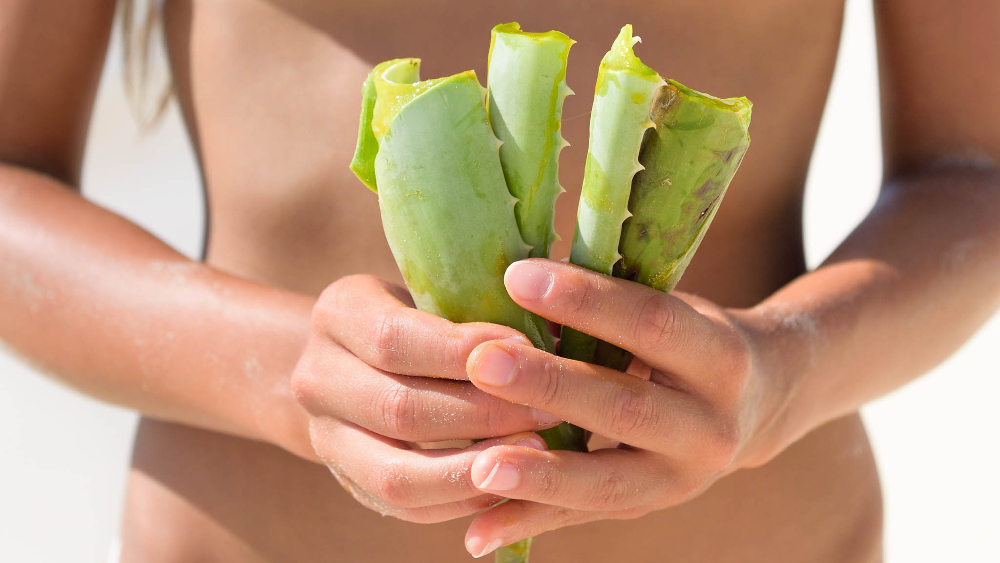 Avklädd kvinna håller aloe vera löv i händerna.