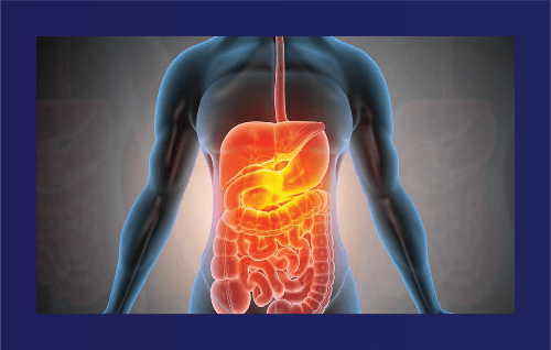 Theo Gerken visitkort för www.tarmrening.com. Framsida. Bild.